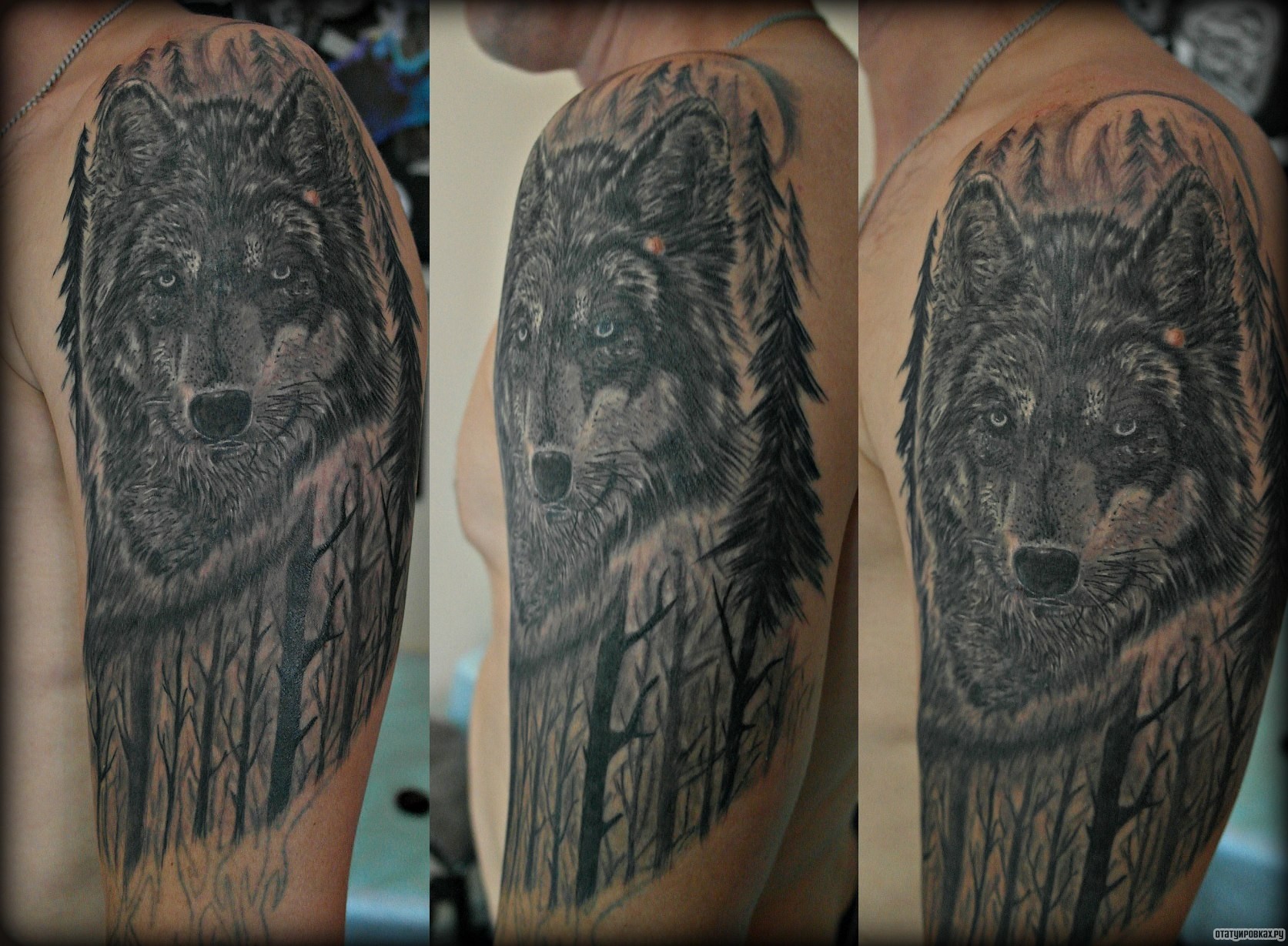 Фотография татуировки под названием «Волк в деревьях»