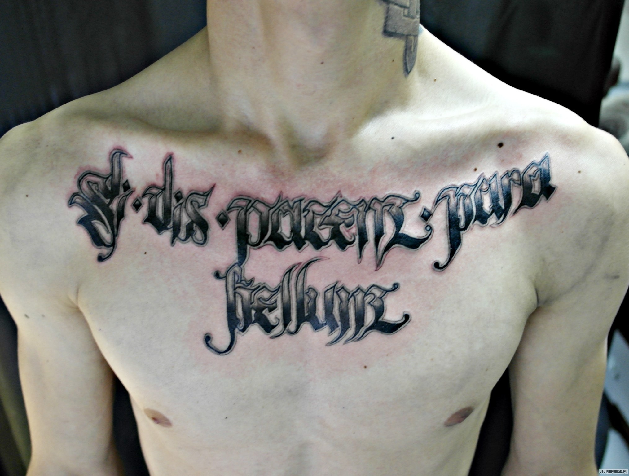 Фотография татуировки под названием «Надписи на груди»