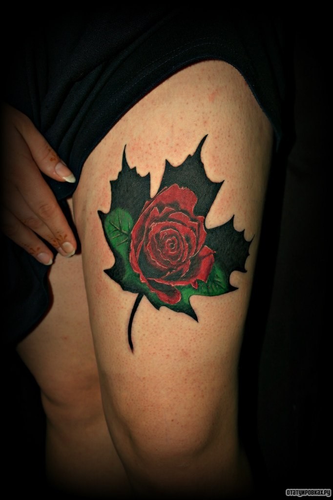Фотография татуировки под названием «Роза в листе клена»