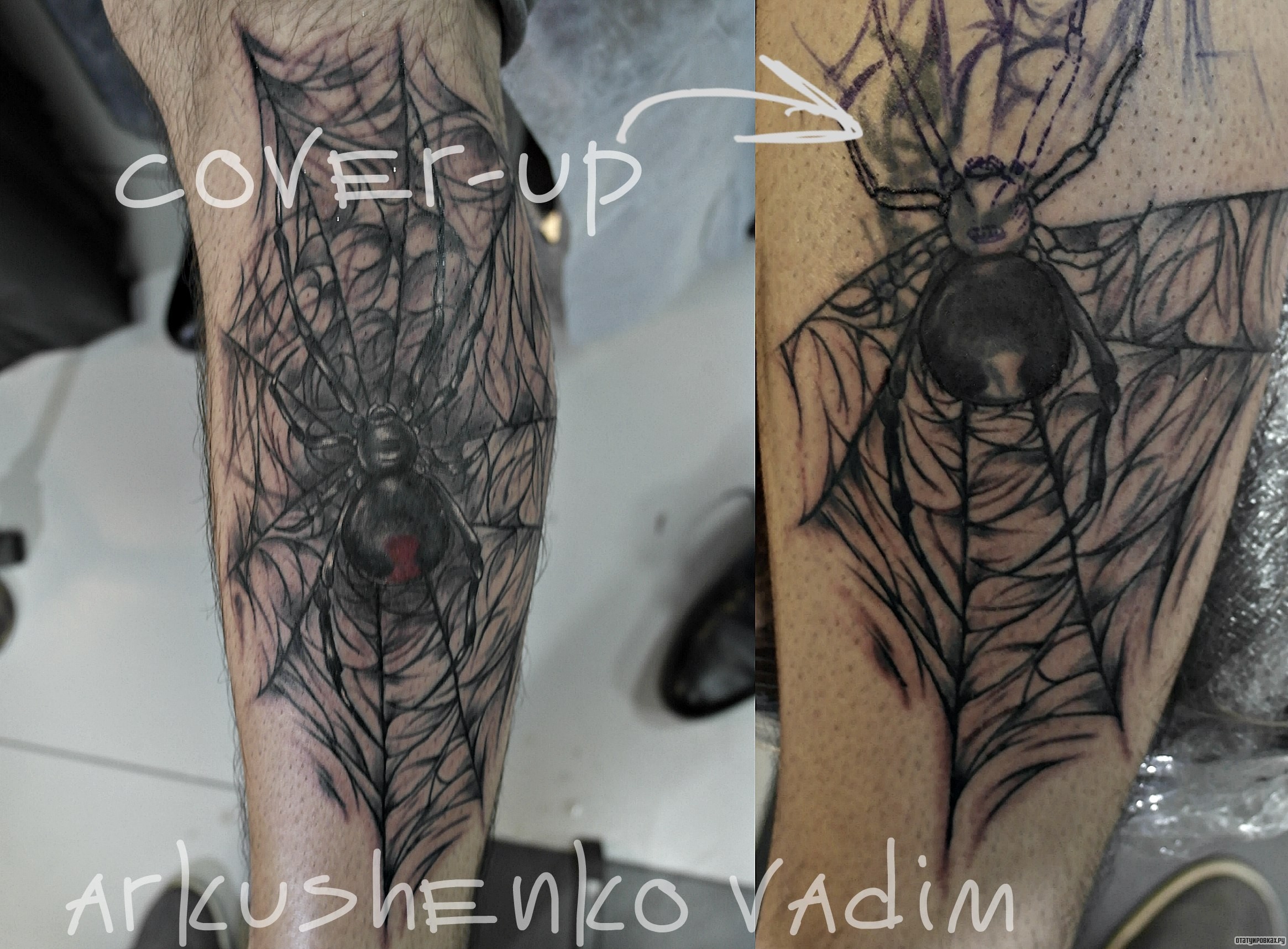 Фотография татуировки под названием «Паук в паутине»