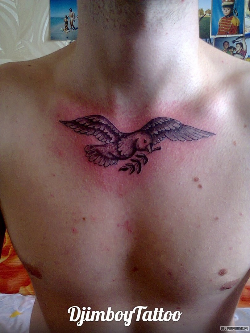 Фотография татуировки под названием «Ласточка с веткой»