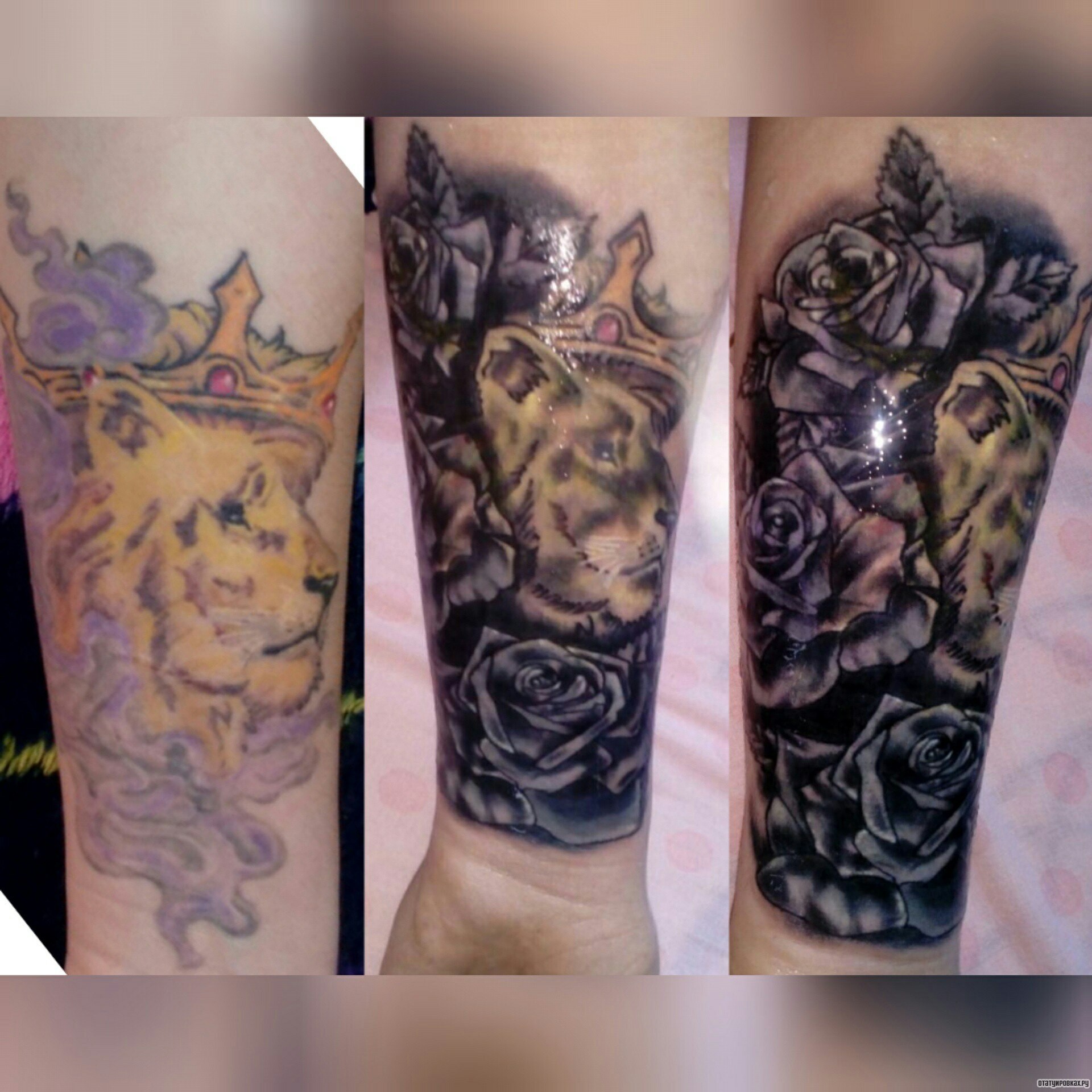 Фотография татуировки под названием «Лев в короне с розами»