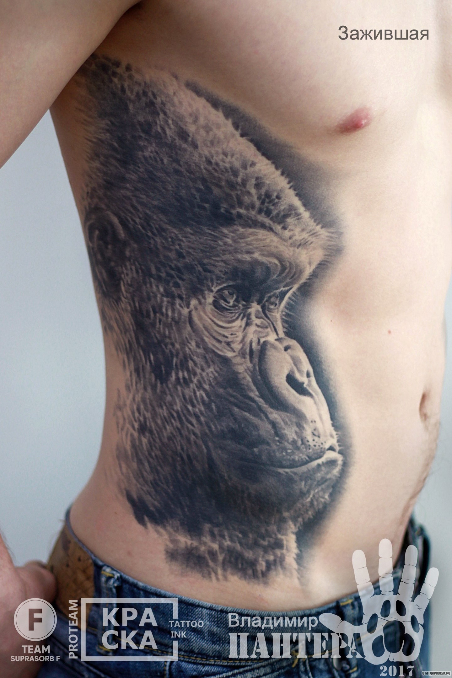 Фотография татуировки под названием «Морда шимпанзе обезьяны»