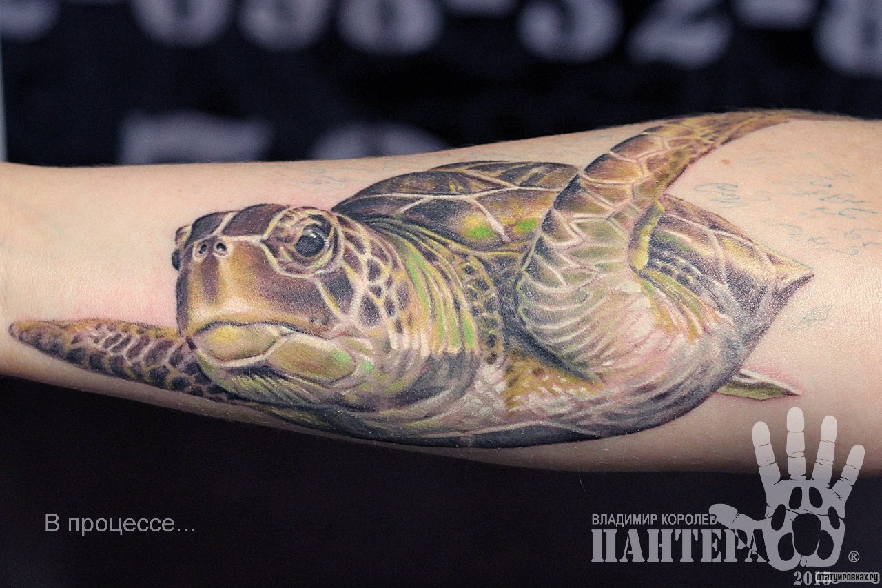 Фотография татуировки под названием «Черепаха»