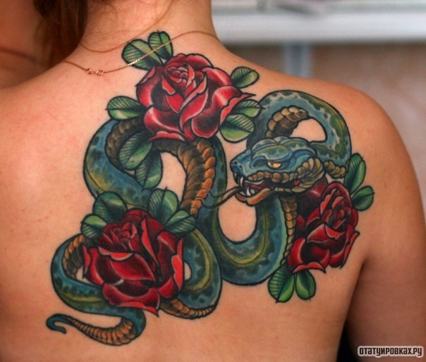 Фотография татуировки под названием «Розы и змея»