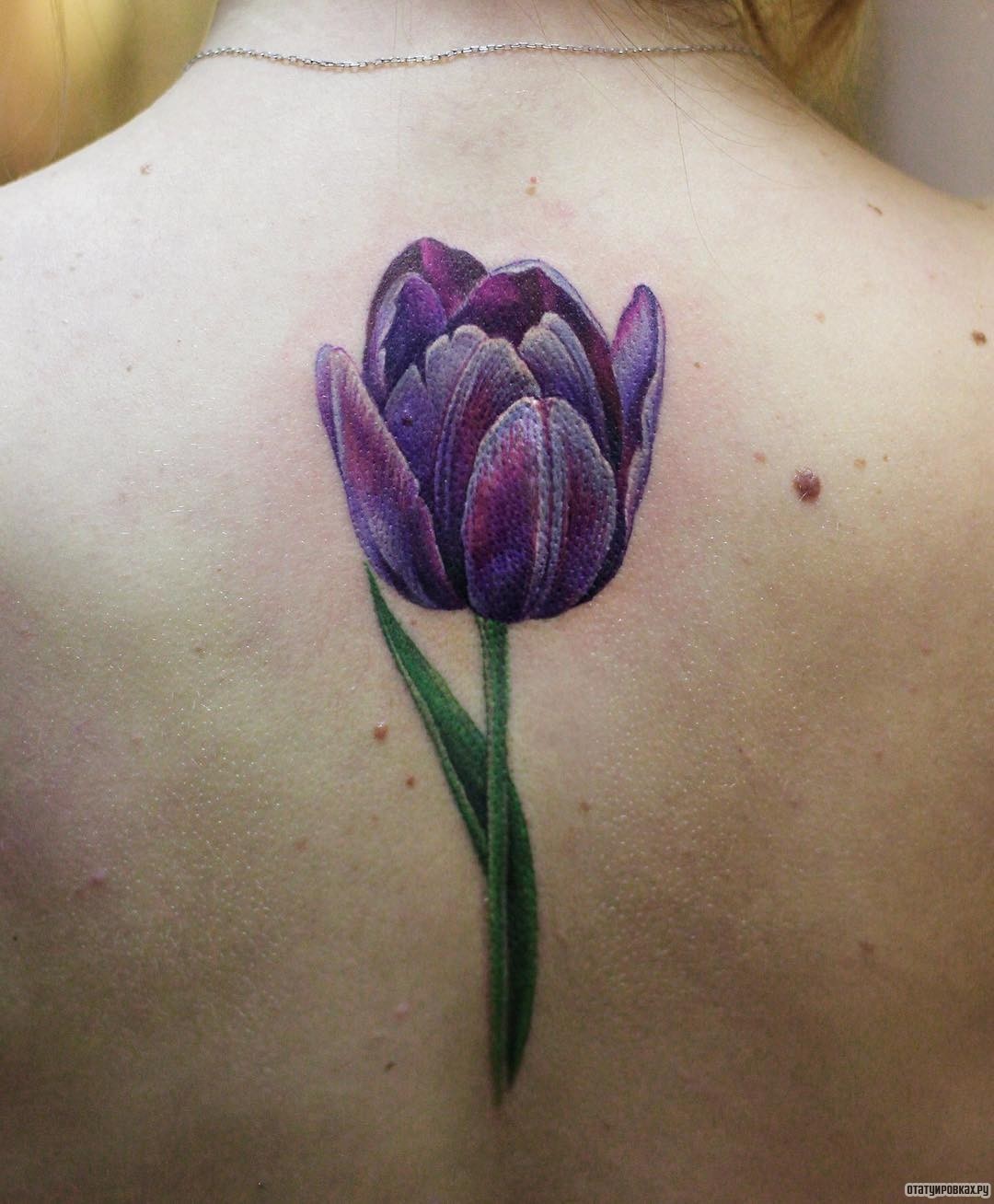 Фотография татуировки под названием «Тюльпан сиреневый»