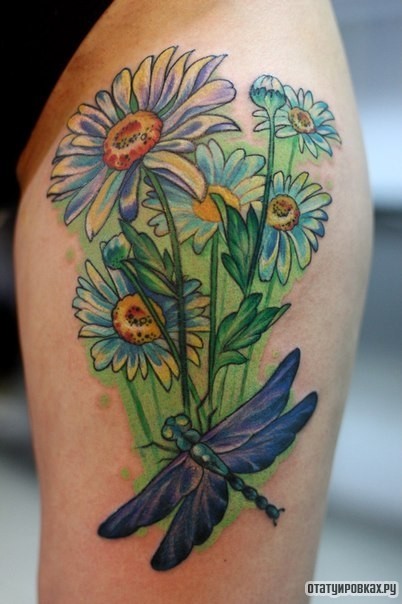 Фотография татуировки под названием «Ромашки и стрекоза»