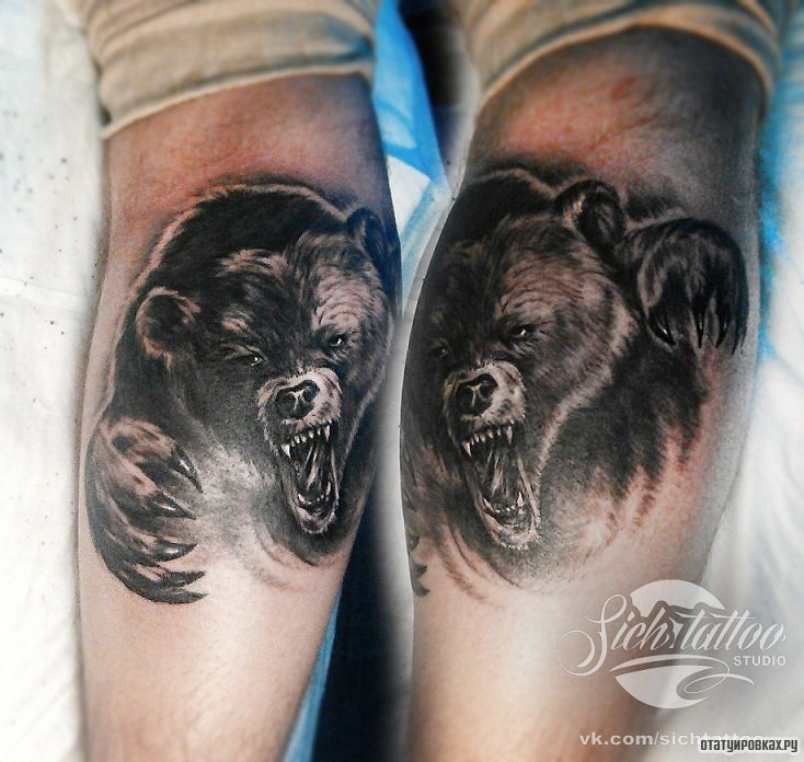 Фотография татуировки под названием «Медведь оскал»