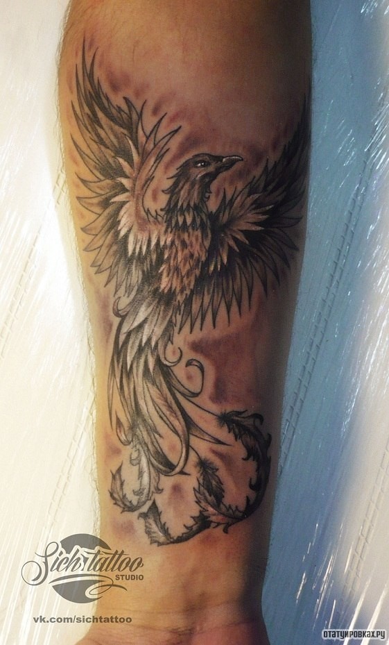 Фотография татуировки под названием «Жар птица в полете»