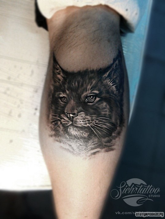 Фотография татуировки под названием «Рысь морда»