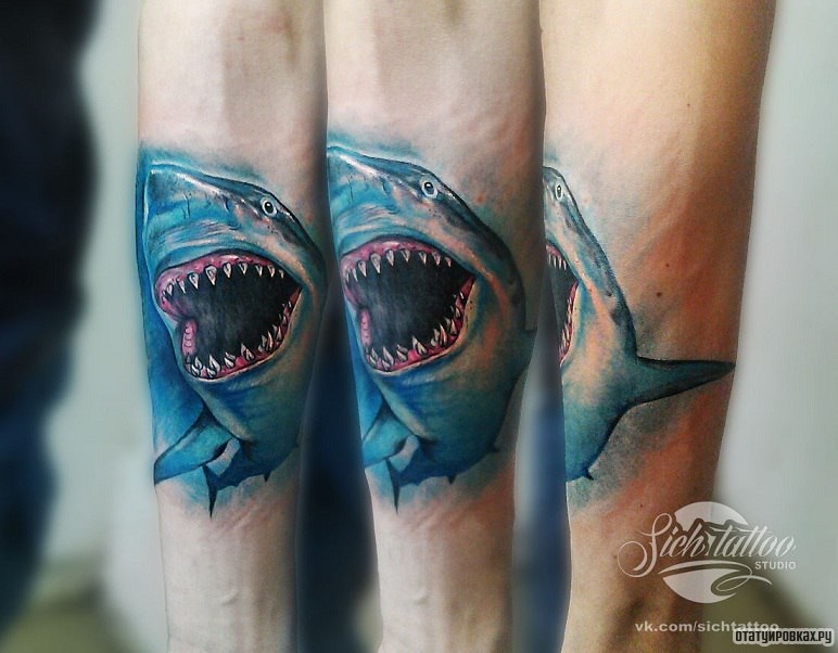Фотография татуировки под названием «Акула оскал»