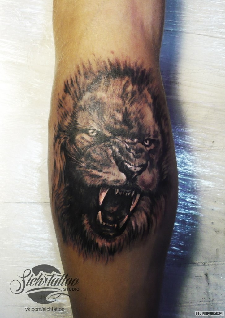 Фотография татуировки под названием «Лев, оскал»
