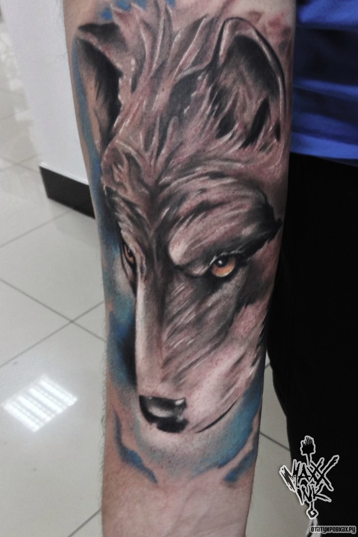 Фотография татуировки под названием «Взгляд волка»