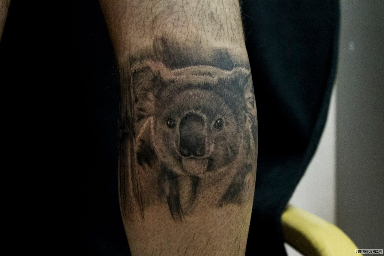 Фотография татуировки под названием «Ленивец»