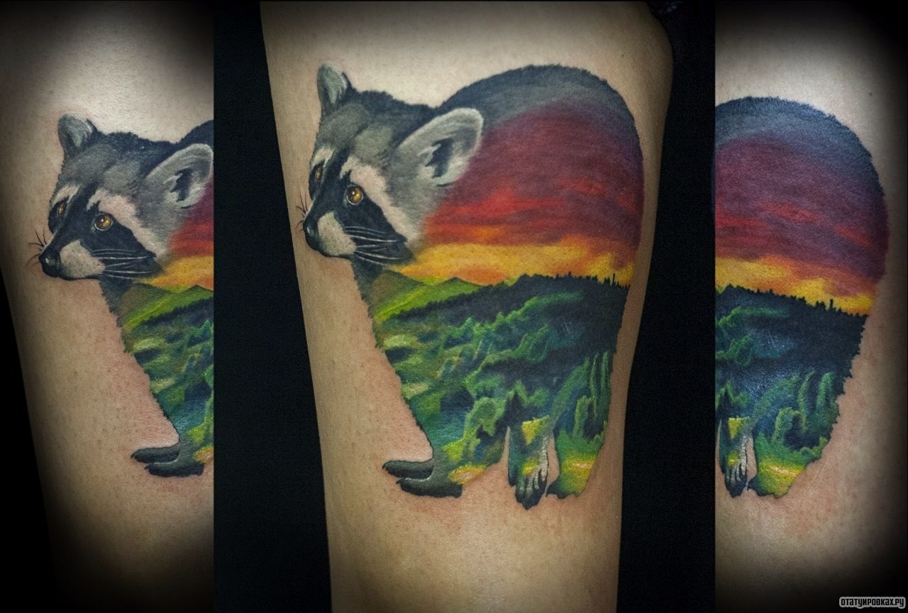 Фотография татуировки под названием «Енот с природой на фоне»