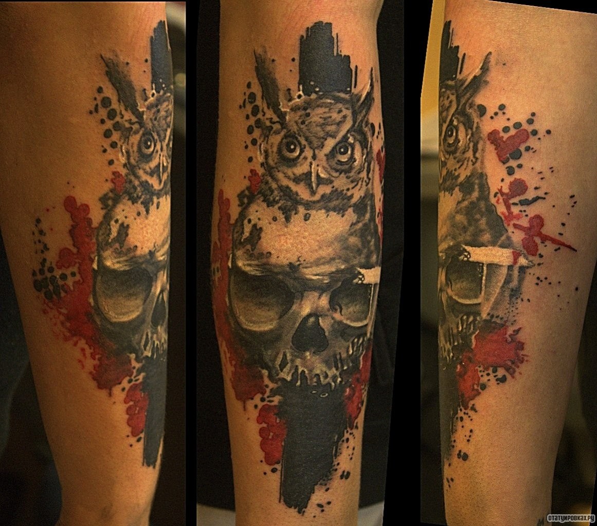 Фотография татуировки под названием «Череп и сова»