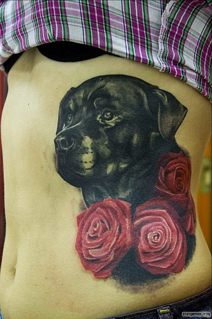 Фотография татуировки под названием «Собака и три розы»