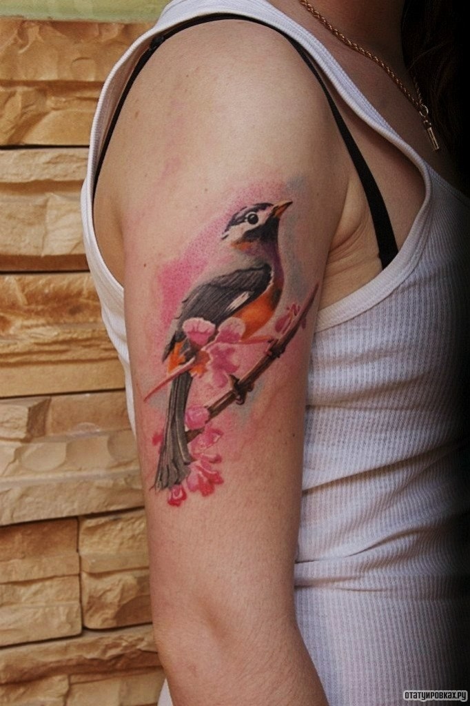 Фотография татуировки под названием «Птица на сакуре»