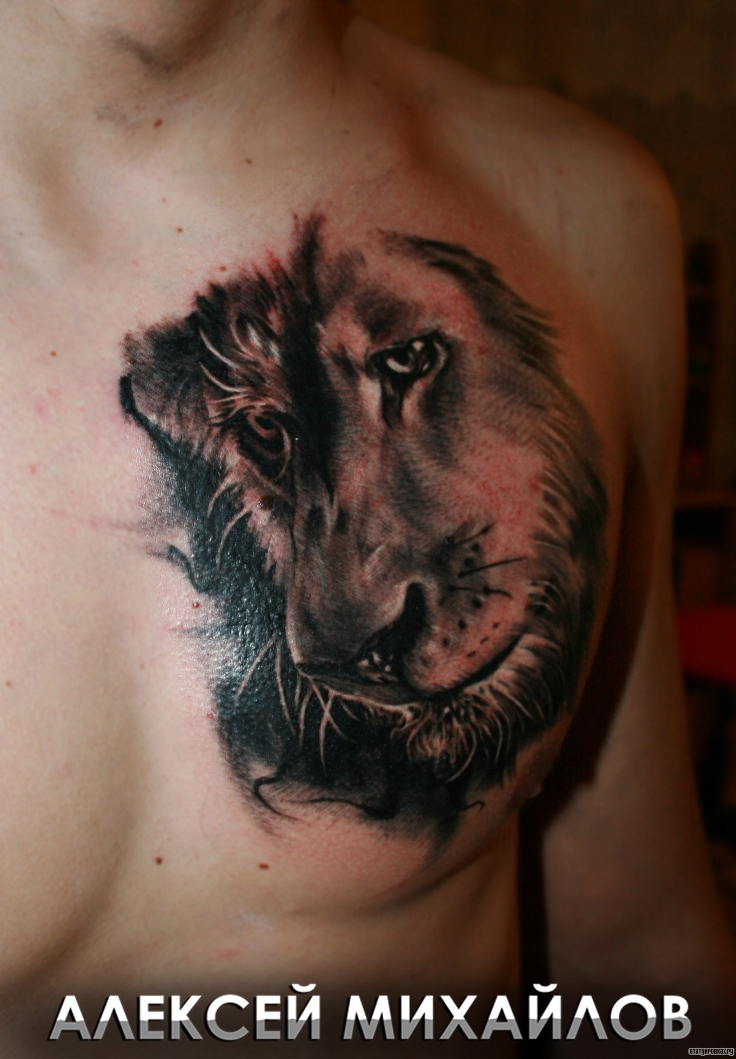 Фотография татуировки под названием «Добрый взгляд льва»