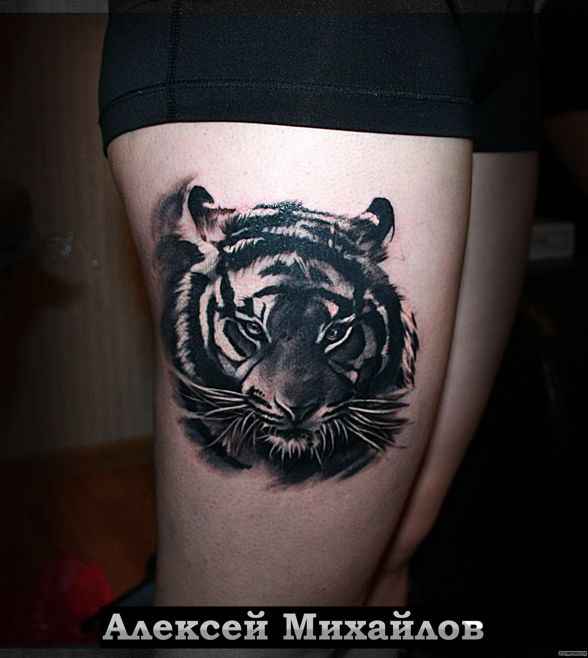Фотография татуировки под названием «Тигр чб»