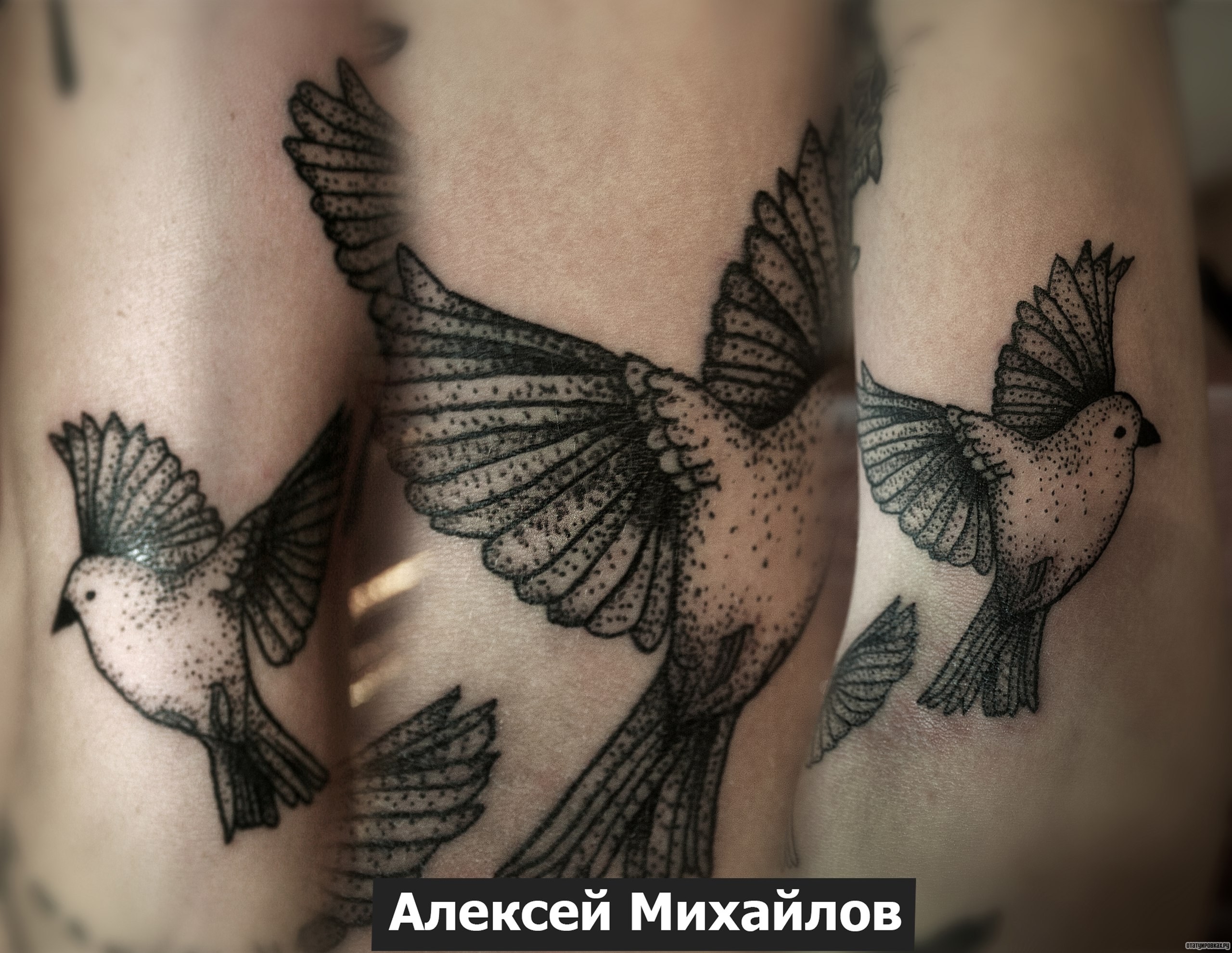 Фотография татуировки под названием «Птичка дотворк»