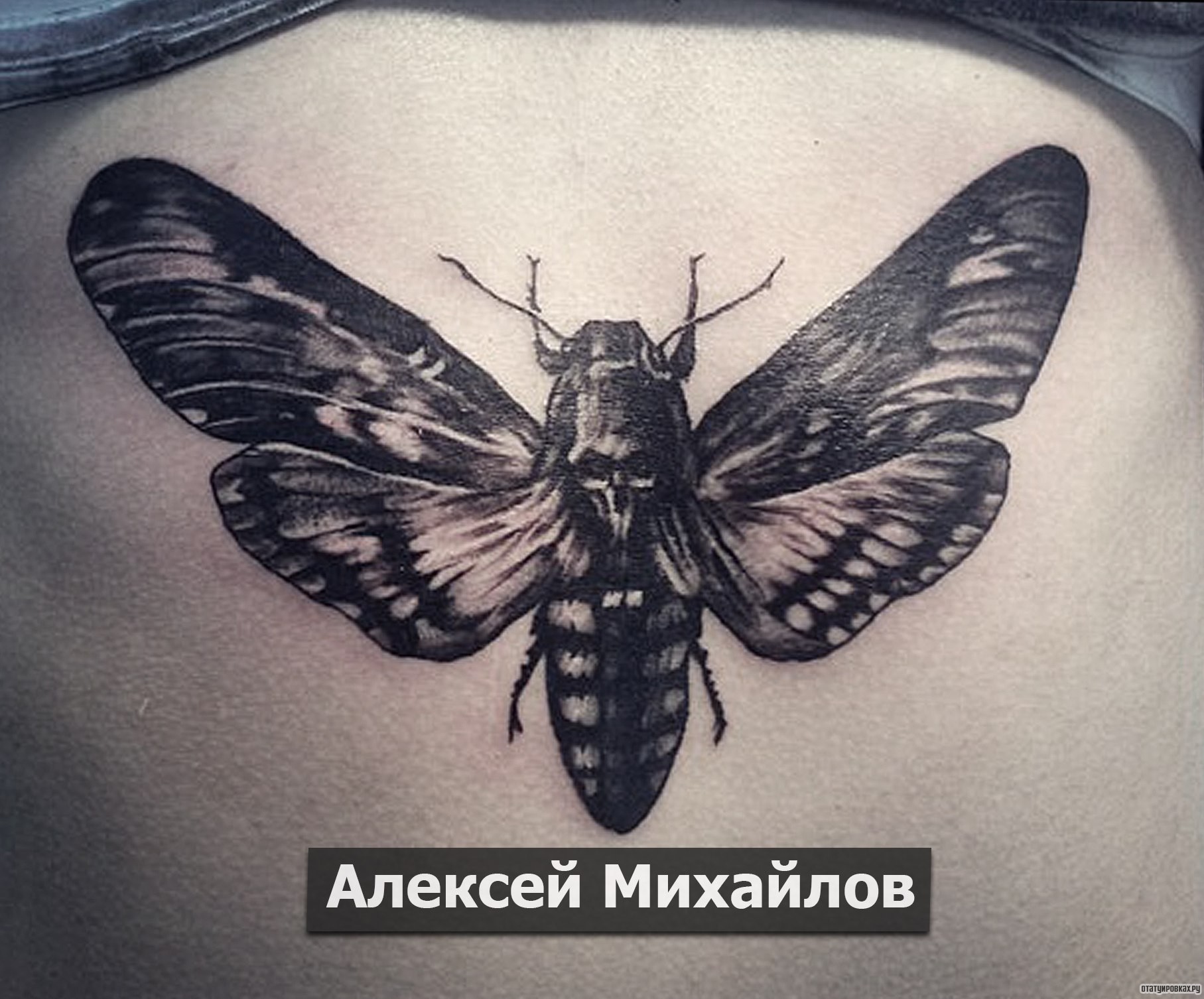 Фотография татуировки под названием «Жук бабочка»