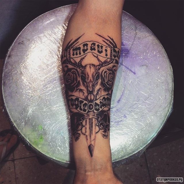 Фотография татуировки под названием «Череп животного с розами и кинжалом»