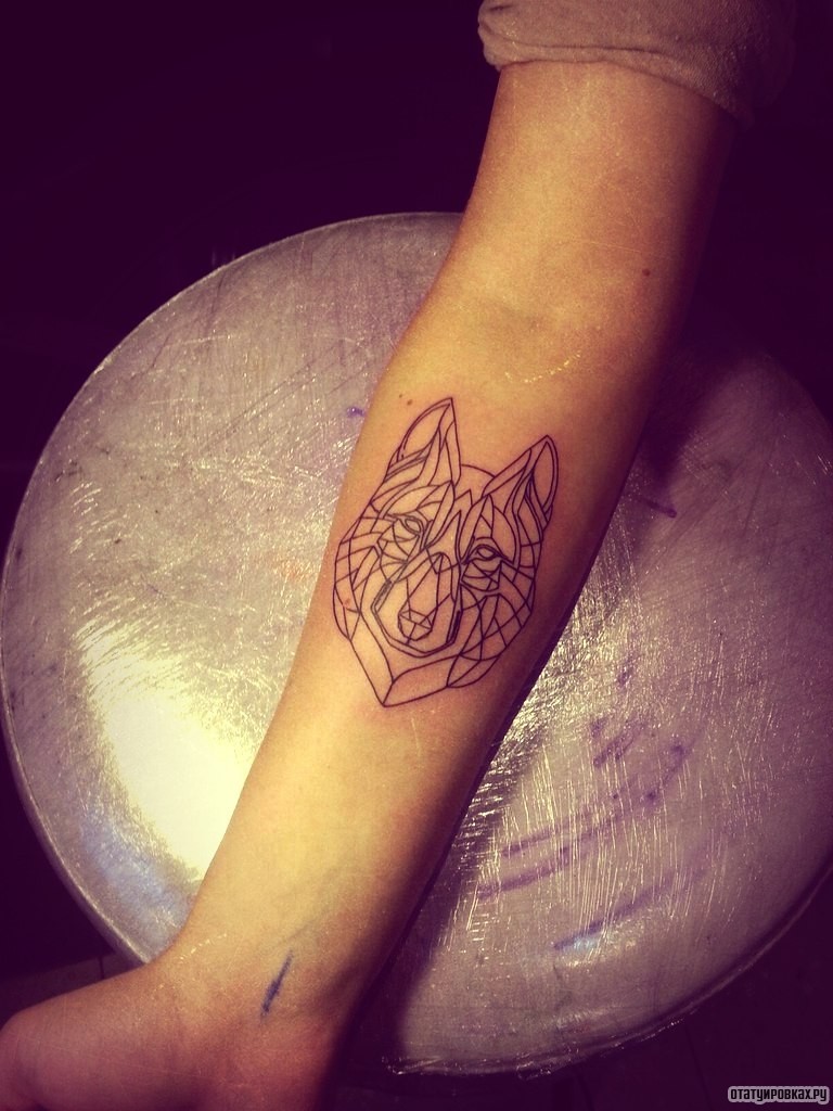 Фотография татуировки под названием «Волк лайнворк»
