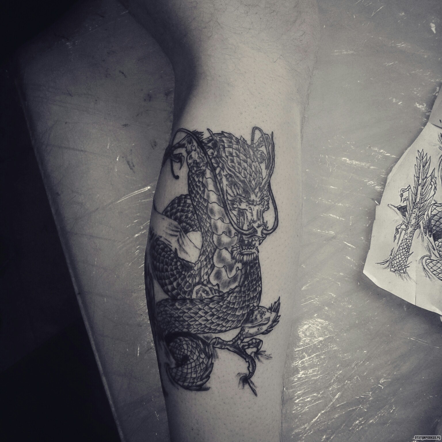 Фотография татуировки под названием «Дракон змея»