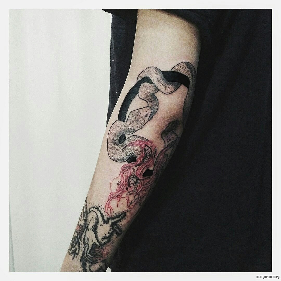 Фотография татуировки под названием «Змея дотворк»
