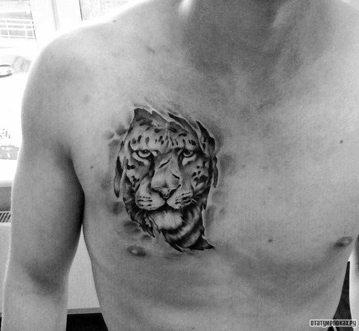 Фотография татуировки под названием «Тигр под кожей»