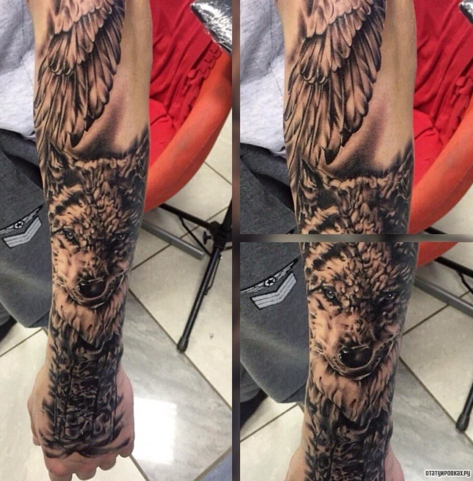 Фотография татуировки под названием «Волк и крыло»