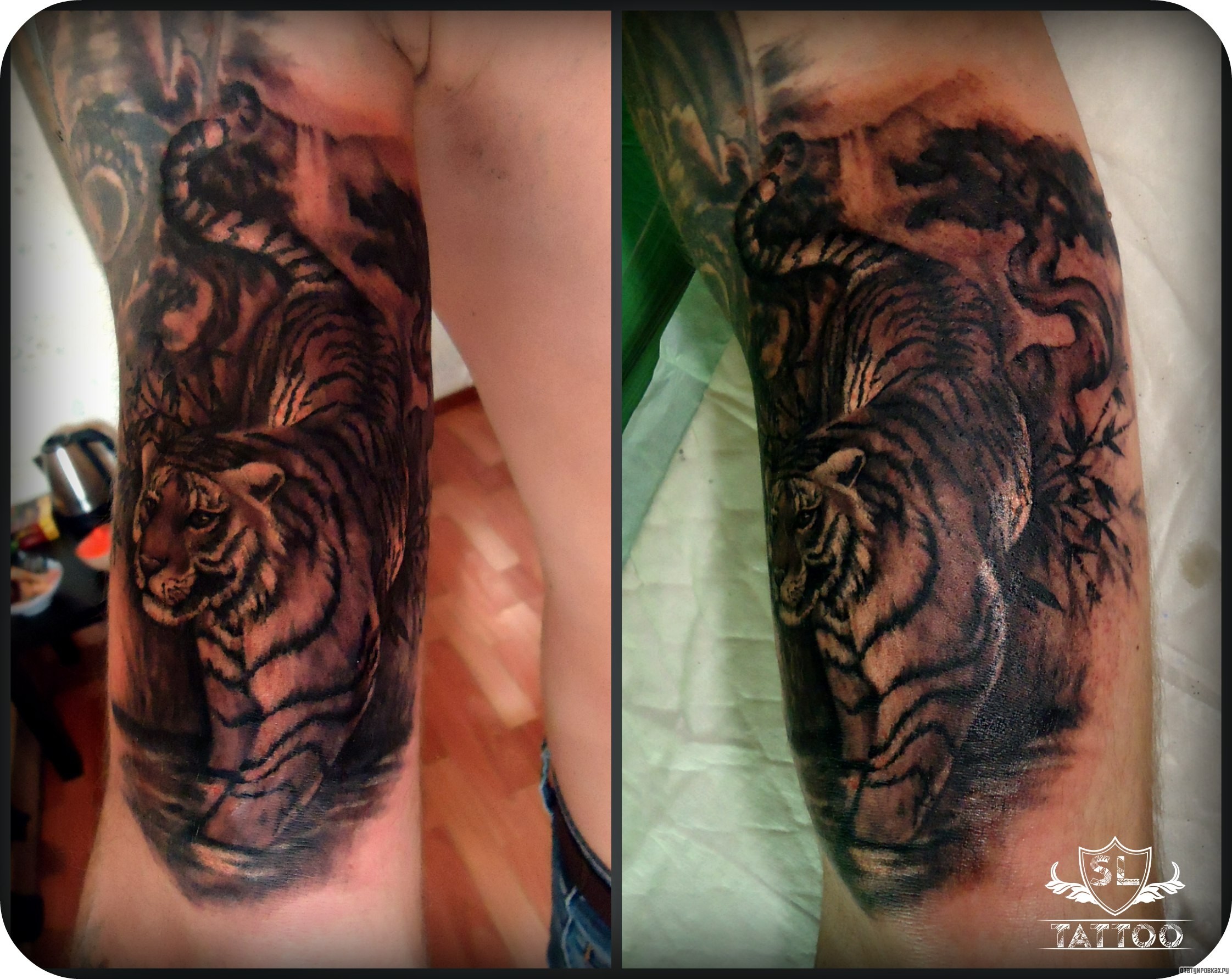 Фотография татуировки под названием «Тигр и дерево»