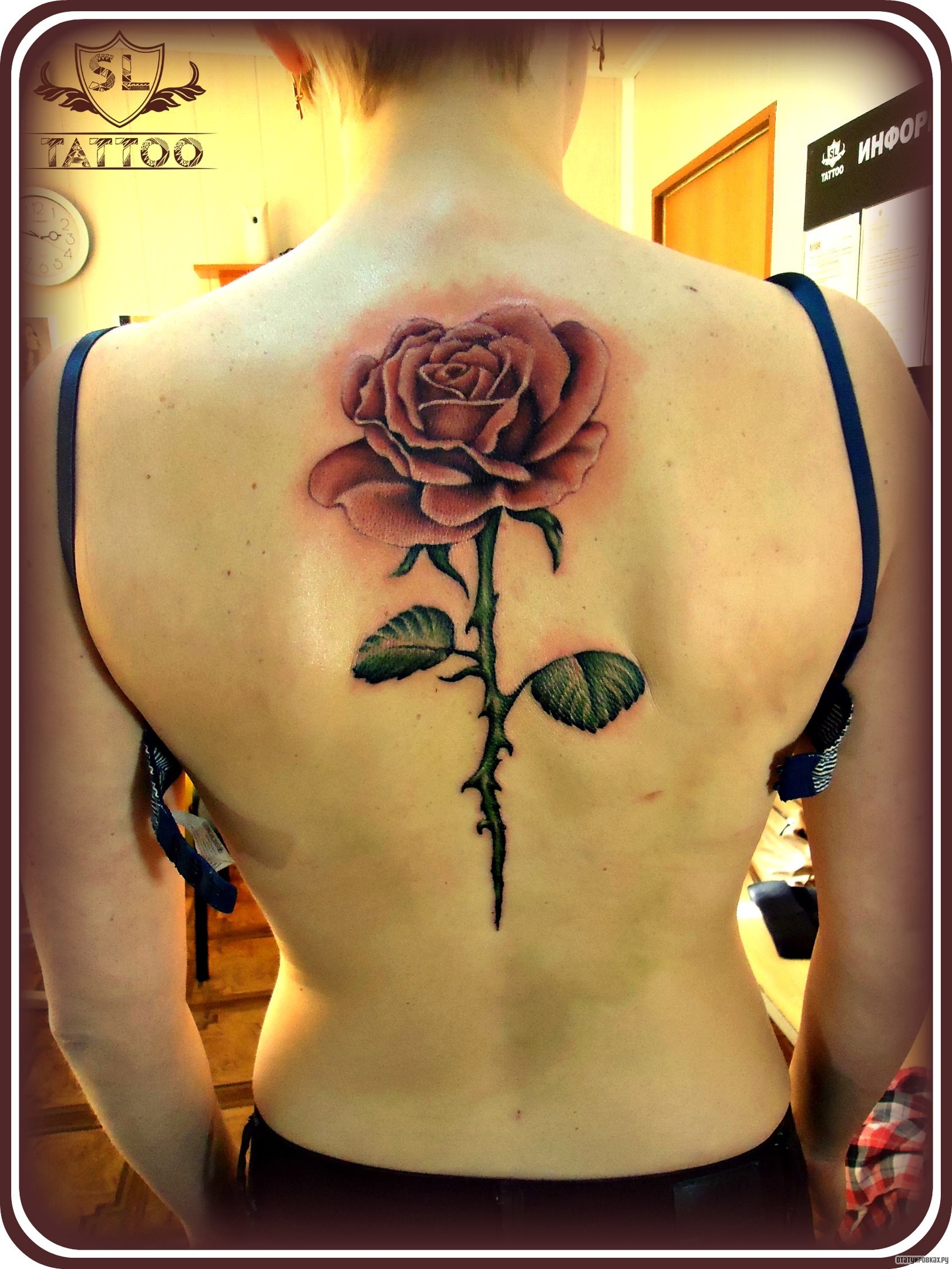 Фотография татуировки под названием «Огромная роза с шипами»