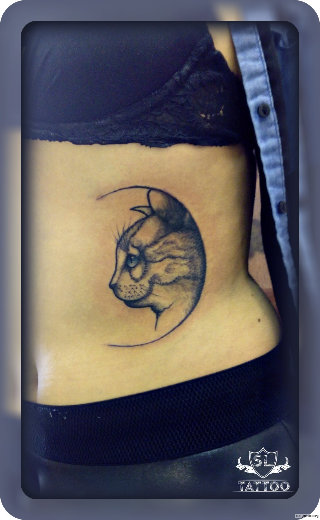Фотография татуировки под названием «Кот в полукруге»