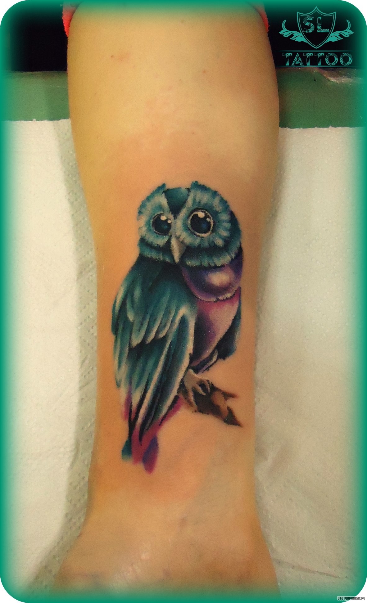 Фотография татуировки под названием «Сова голубая»