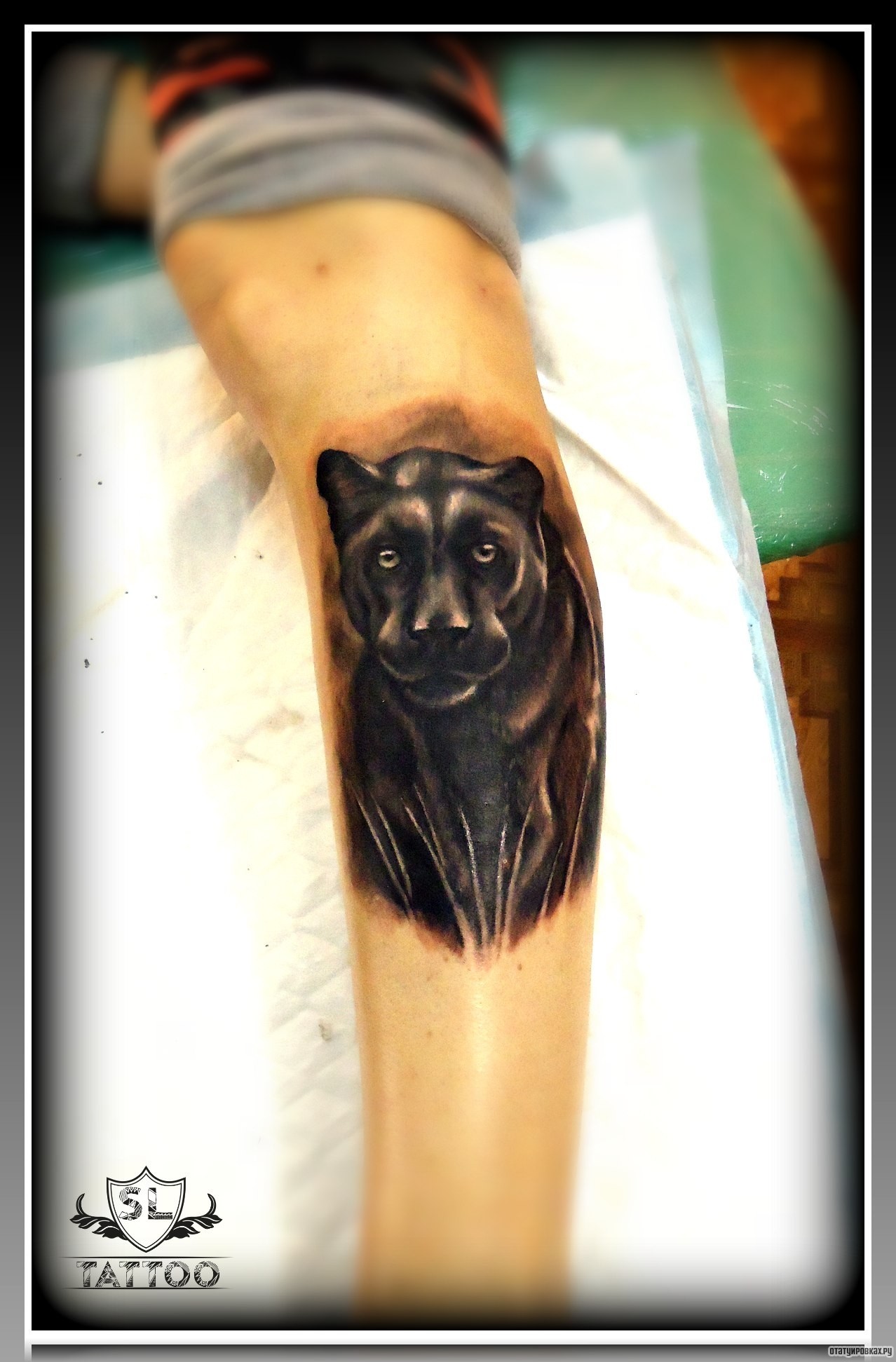 Фотография татуировки под названием «Взгляд пантеры»