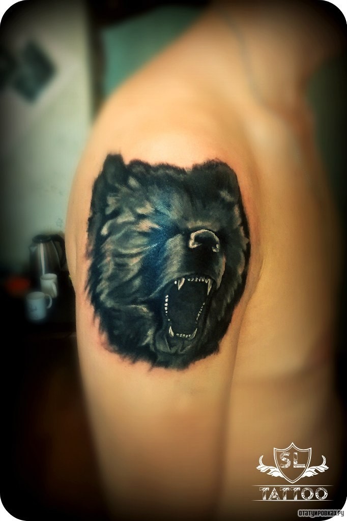 Фотография татуировки под названием «Оскал медведя»