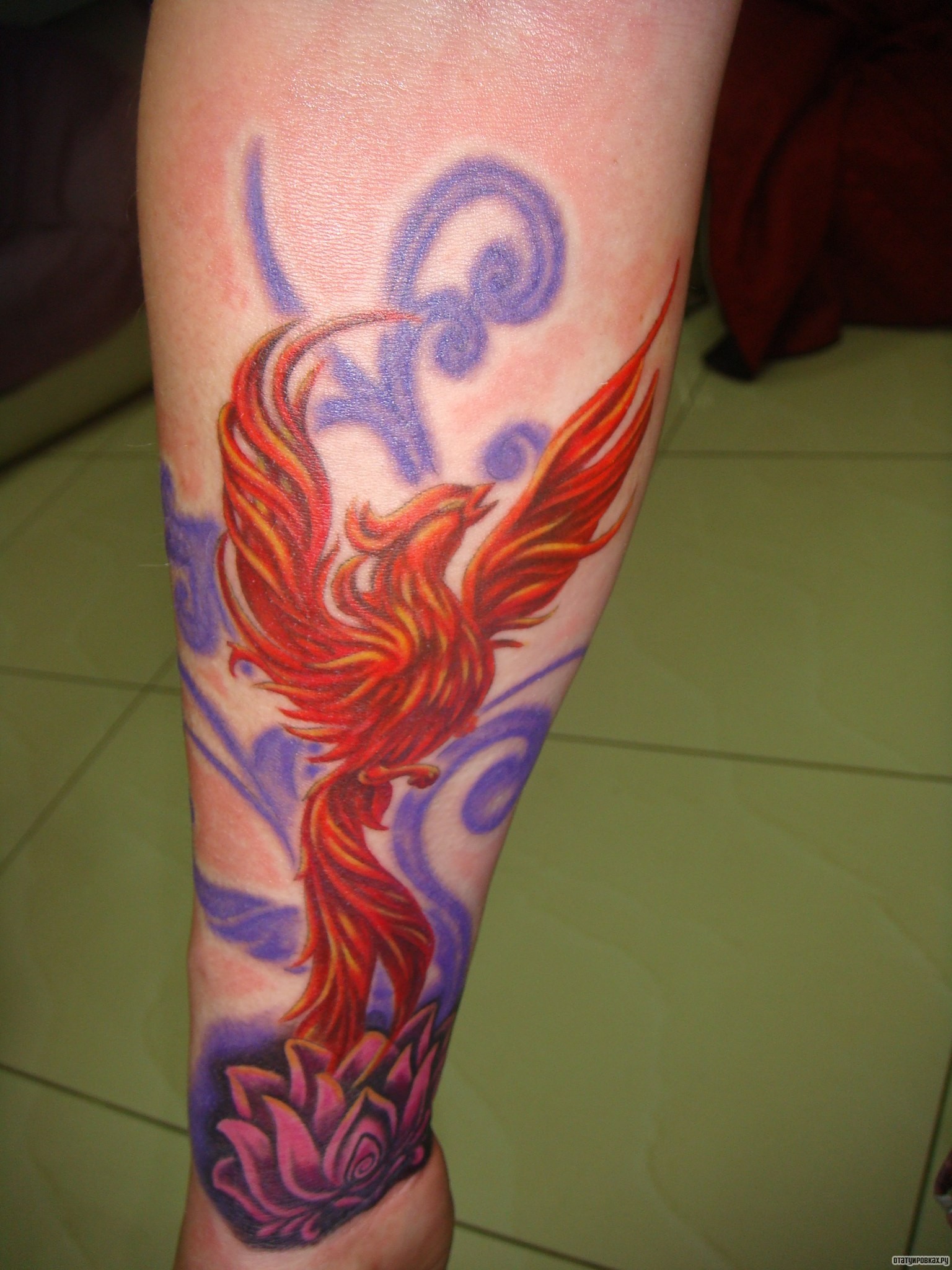 Фотография татуировки под названием «Жар птица и лотос»
