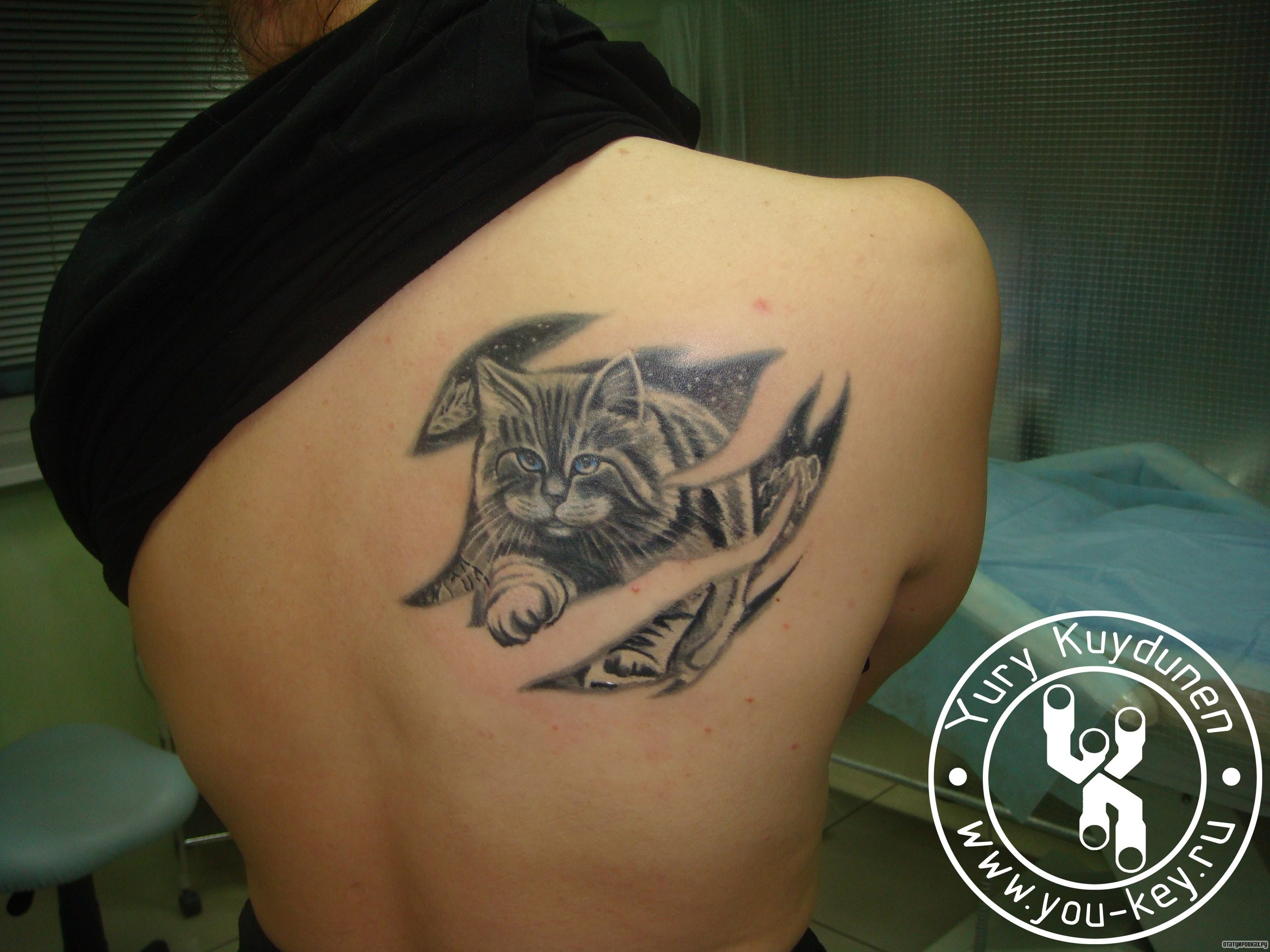 Фотография татуировки под названием «Кот на фоне неба»