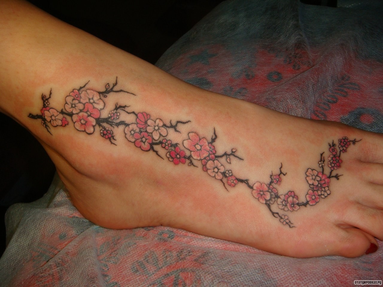 Фотография татуировки под названием «Ветка сакуры»
