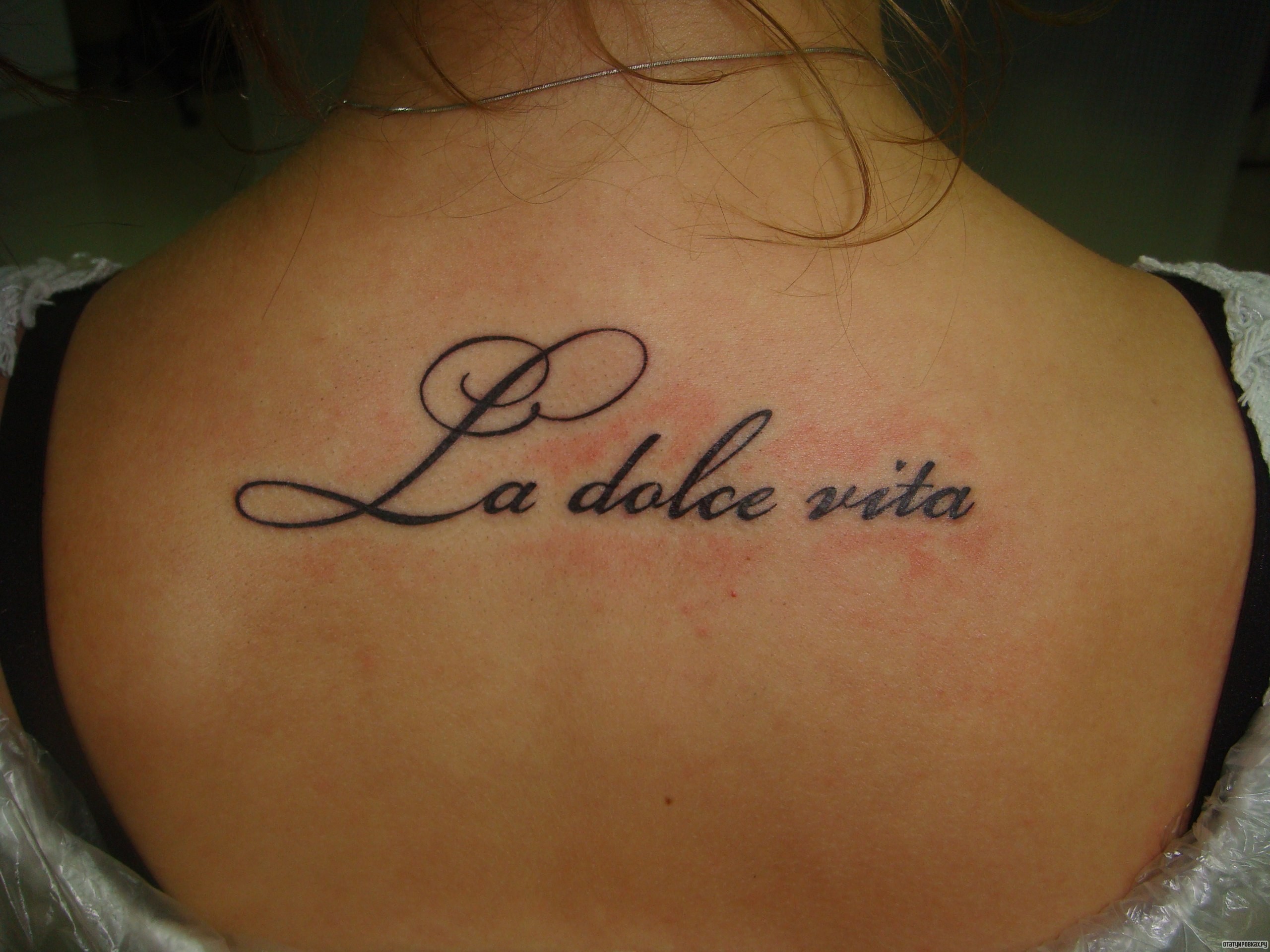 Фотография татуировки под названием «La dolce vita надпись»