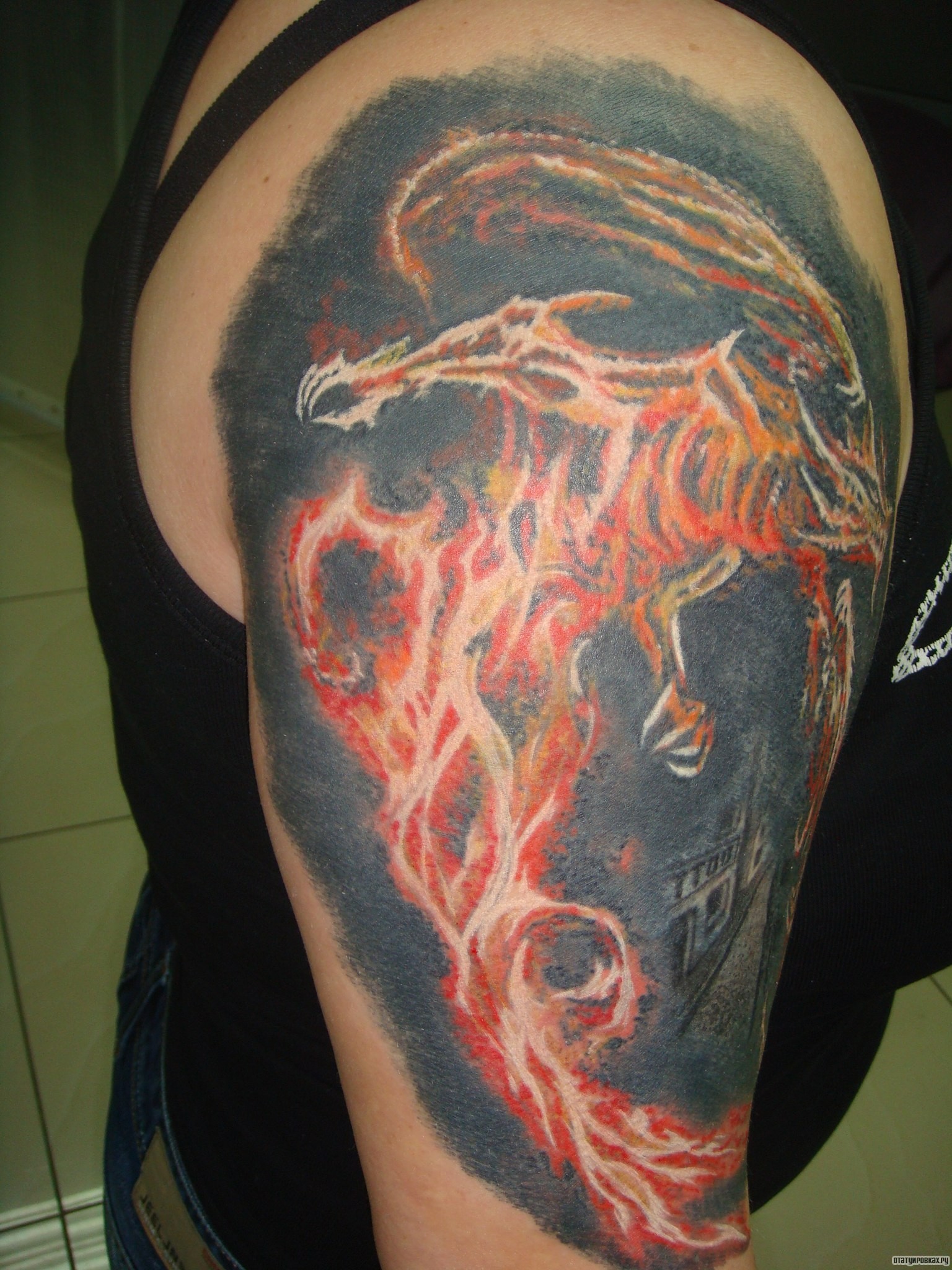 Фотография татуировки под названием «Огненный дракон»