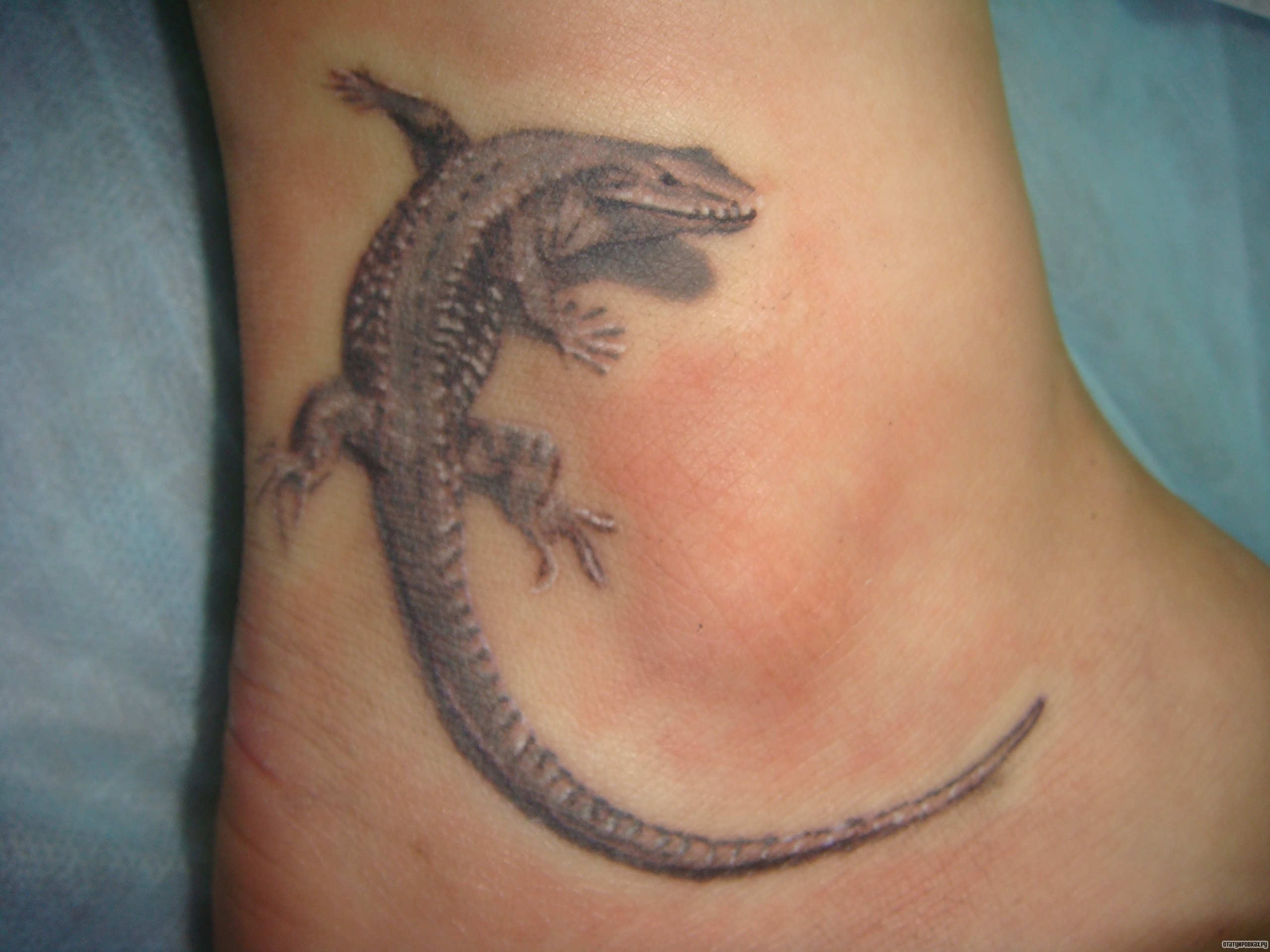 Фотография татуировки под названием «Ящерица»