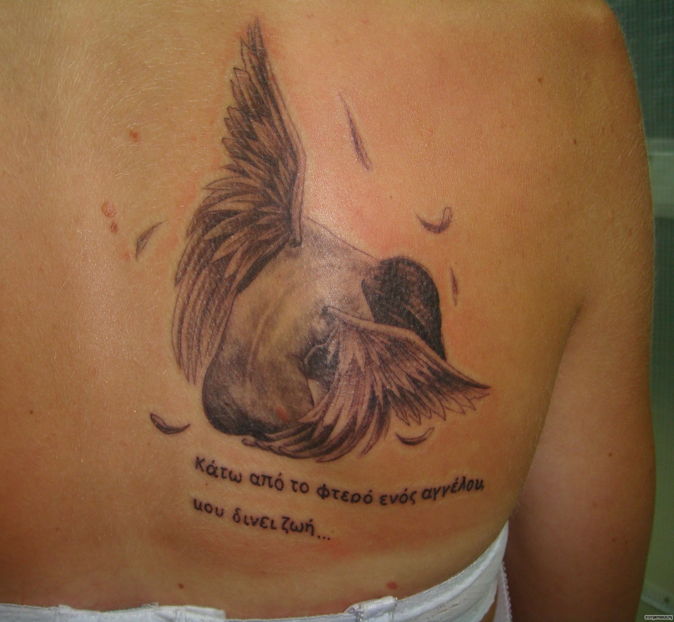 Фотография татуировки под названием «Ангел сидит с надписью»