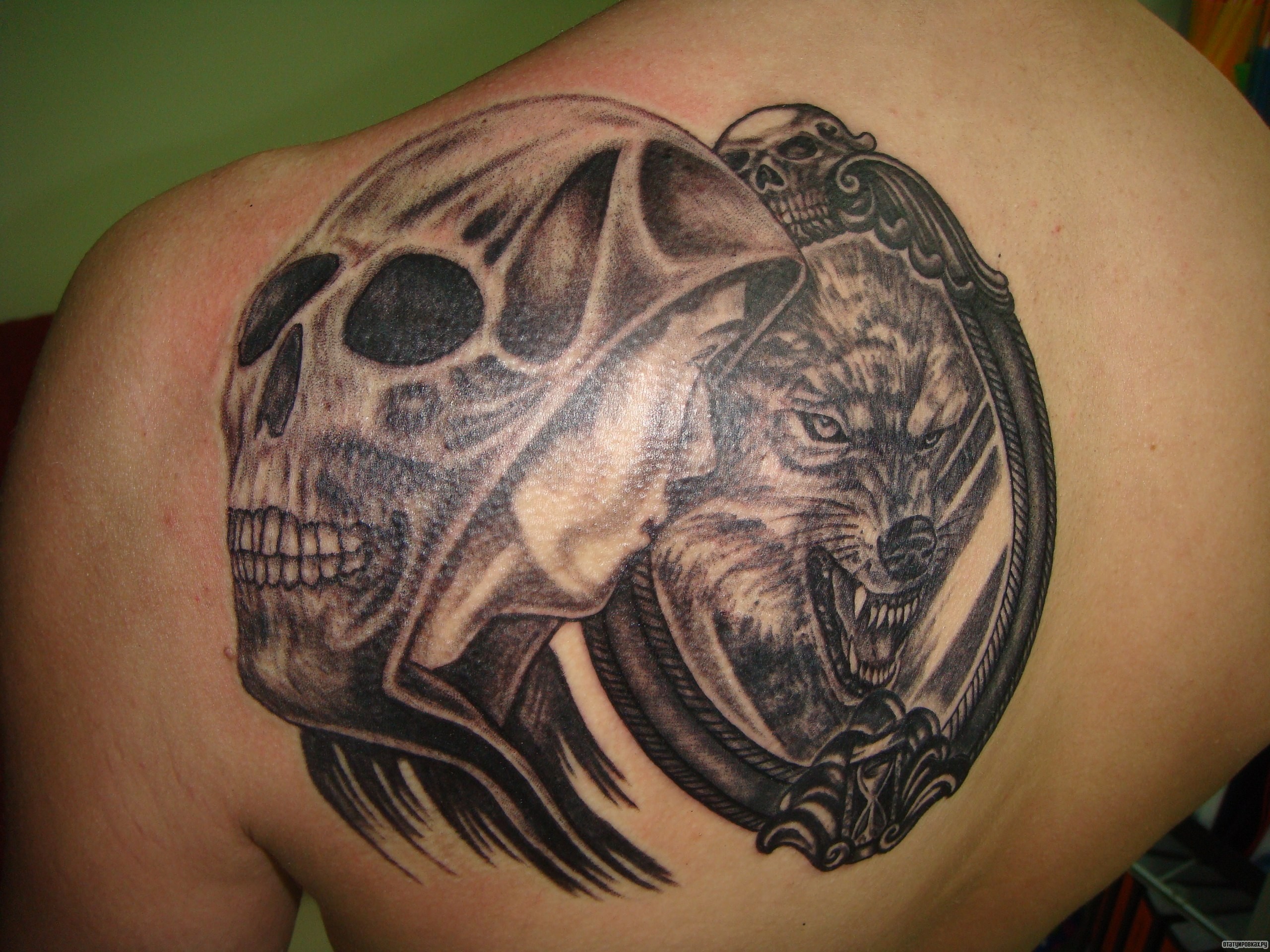 Фотография татуировки под названием «Череп и волк»