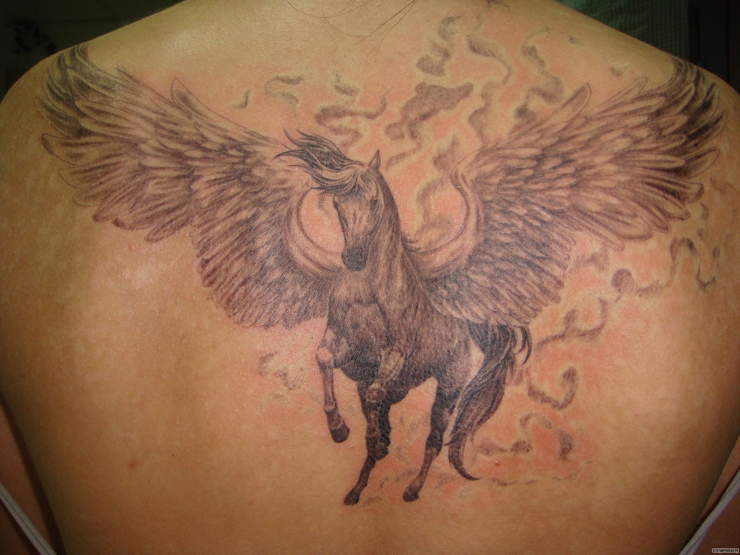 Фотография татуировки под названием «Пегас»