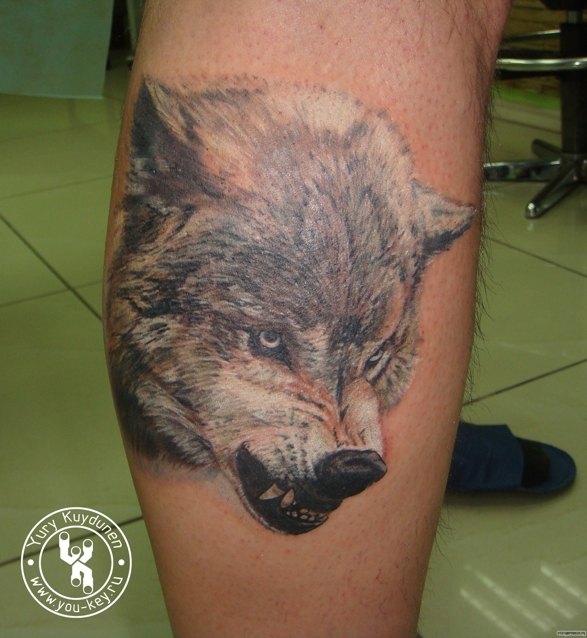Фотография татуировки под названием «Оскал волка»