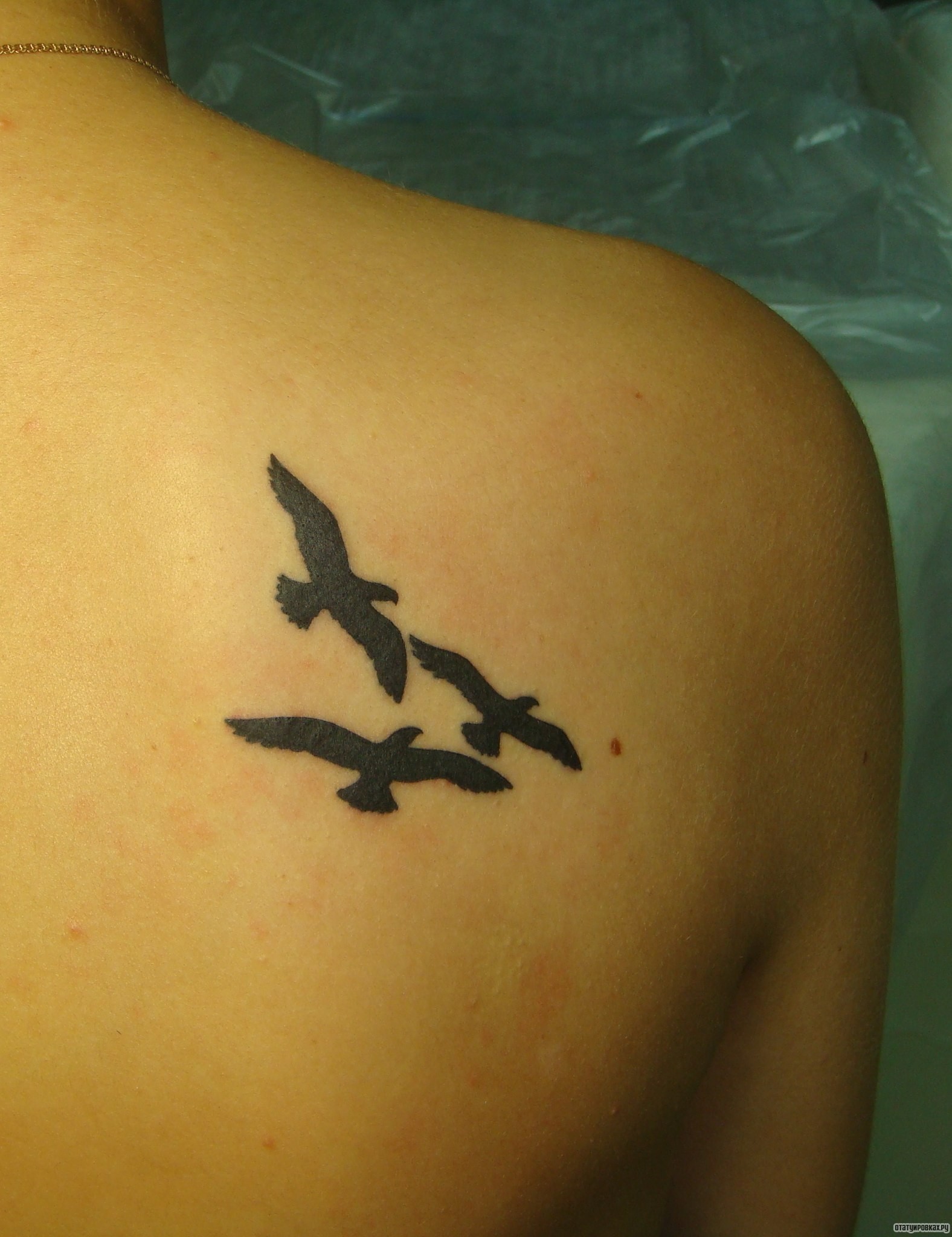 Фотография татуировки под названием «Три птицы»