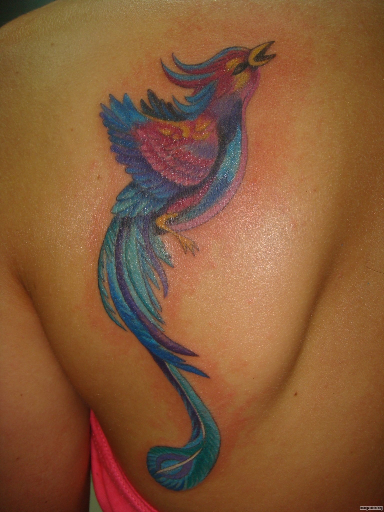 Фотография татуировки под названием «Птица»